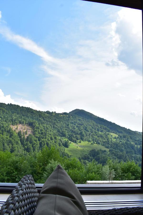 Silver View Kopaonik Buitenkant foto